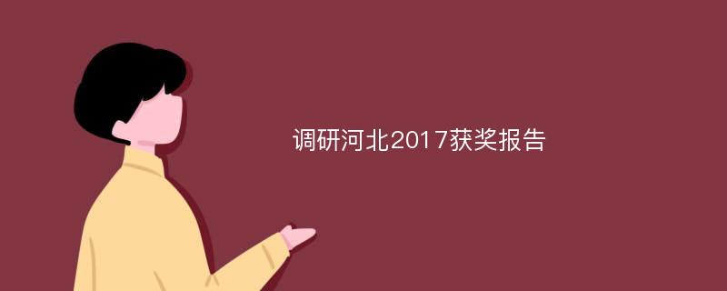 调研河北2017获奖报告
