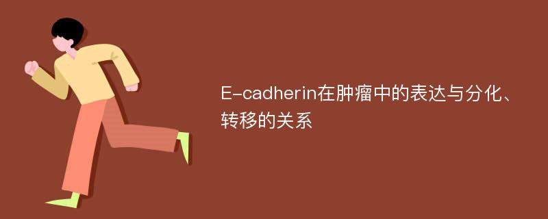 E-cadherin在肿瘤中的表达与分化、转移的关系